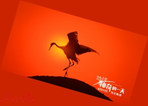 纪录片《二十二》票房破亿 纪录片的春天来了？