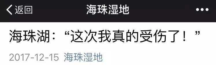 海珠湖受伤了！网友痛心谴责：对不文明坚决处